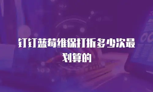 钉钉蓝莓维保打折多少次最划算的