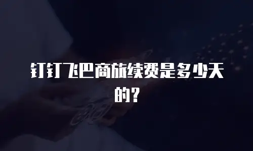 钉钉飞巴商旅续费是多少天的？