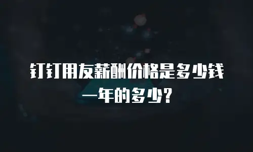 钉钉用友薪酬价格是多少钱一年的多少？