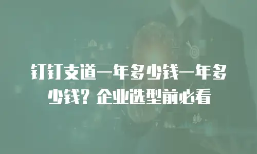 钉钉支道一年多少钱一年多少钱？企业选型前必看