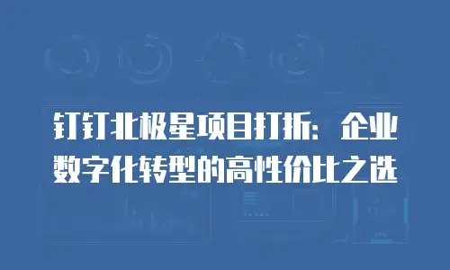钉钉北极星项目打折：企业数字化转型的高性价比之选