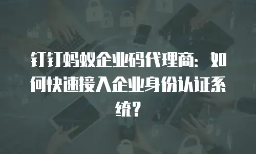 钉钉蚂蚁企业码代理商：如何快速接入企业身份认证系统？