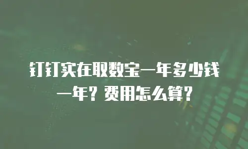 钉钉实在取数宝一年多少钱一年？费用怎么算？