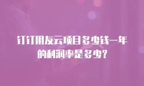 钉钉用友云项目多少钱一年的利润率是多少？