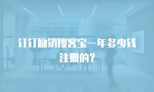 钉钉励销搜客宝一年多少钱注册的？