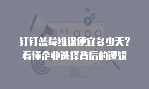 钉钉蓝莓维保便宜多少天？看懂企业选择背后的逻辑