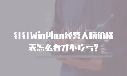 钉钉WinPlan经营大脑价格表怎么看才不吃亏？