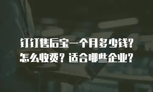 钉钉售后宝一个月多少钱？怎么收费？适合哪些企业？