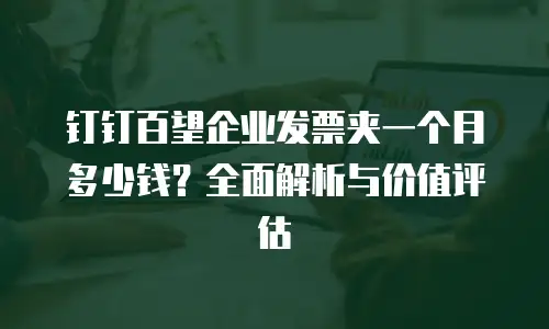 钉钉百望企业发票夹一个月多少钱？全面解析与价值评估
