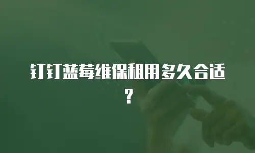 钉钉蓝莓维保租用多久合适？