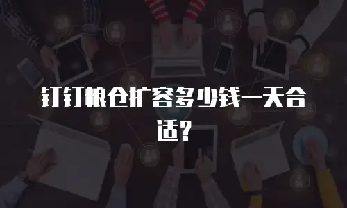 钉钉粮仓扩容多少钱一天合适？