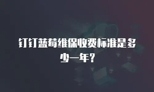 钉钉蓝莓维保收费标准是多少一年？