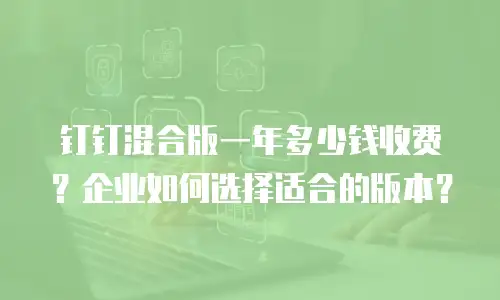 钉钉混合版一年多少钱收费？企业如何选择适合的版本？