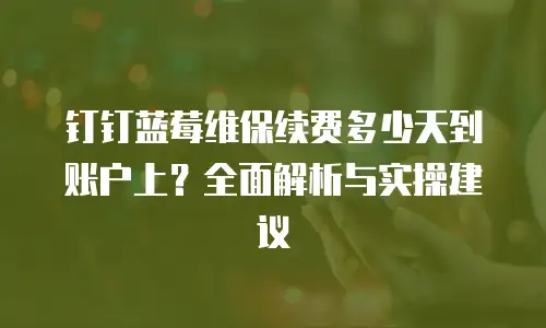 钉钉蓝莓维保续费多少天到账户上？全面解析与实操建议