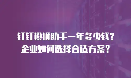 钉钉橙狮助手一年多少钱？企业如何选择合适方案？