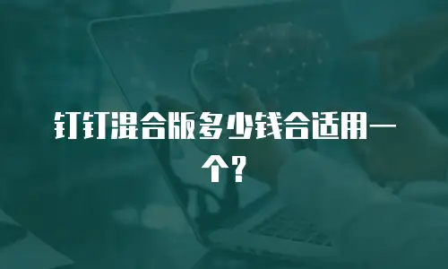 钉钉混合版多少钱合适用一个？