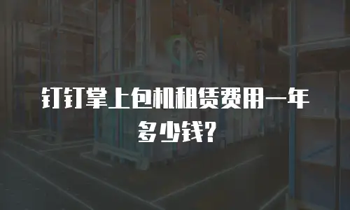 钉钉掌上包机租赁费用一年多少钱？