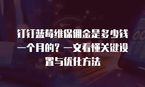 钉钉蓝莓维保佣金是多少钱一个月的？一文看懂关键设置与优化方法