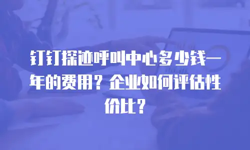 钉钉探迹呼叫中心多少钱一年的费用？企业如何评估性价比？