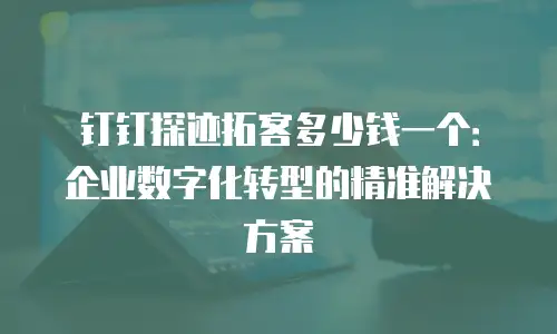 钉钉探迹拓客多少钱一个：企业数字化转型的精准解决方案