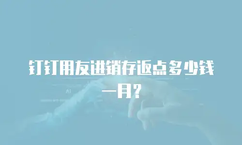 钉钉用友进销存返点多少钱一月？