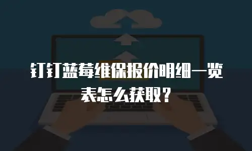 钉钉蓝莓维保报价明细一览表怎么获取？