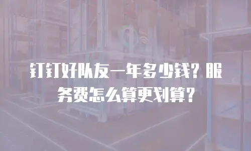 钉钉好队友一年多少钱？服务费怎么算更划算？