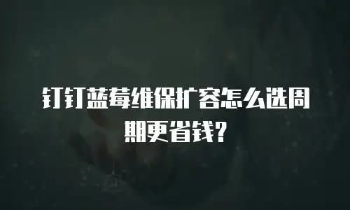 钉钉蓝莓维保扩容怎么选周期更省钱？
