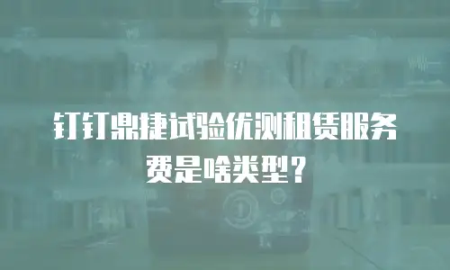 钉钉鼎捷试验优测租赁服务费是啥类型？