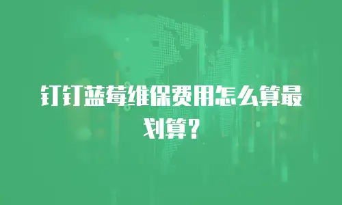 钉钉蓝莓维保费用怎么算最划算？