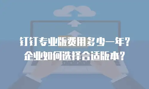 钉钉专业版费用多少一年？企业如何选择合适版本？