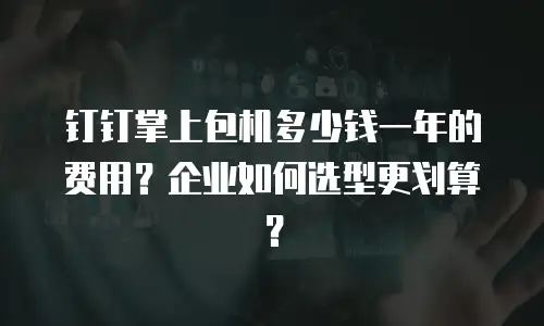 钉钉掌上包机多少钱一年的费用？企业如何选型更划算？