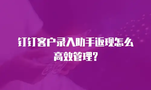钉钉客户录入助手返现怎么高效管理？
