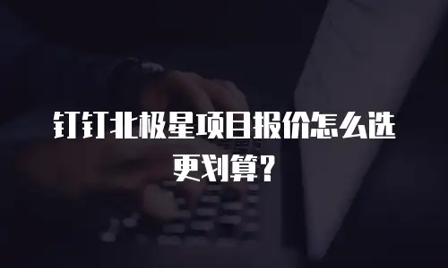钉钉北极星项目报价怎么选更划算？