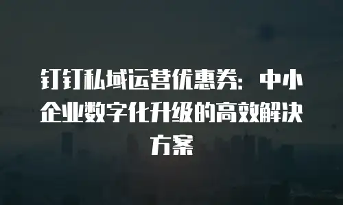 钉钉私域运营优惠券：中小企业数字化升级的高效解决方案