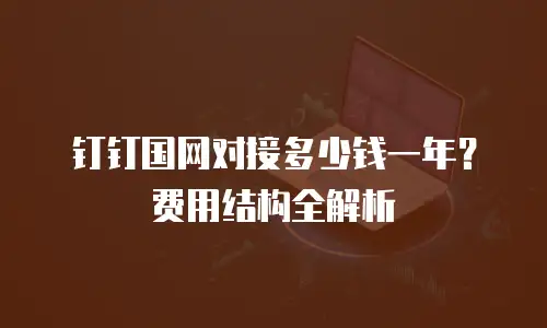 钉钉国网对接多少钱一年？费用结构全解析