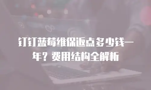 钉钉蓝莓维保返点多少钱一年？费用结构全解析