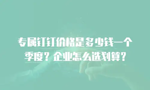 专属钉钉价格是多少钱一个季度？企业怎么选划算？