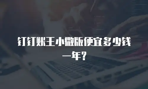 钉钉账王小微版便宜多少钱一年？