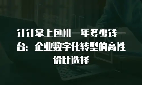 钉钉掌上包机一年多少钱一台：企业数字化转型的高性价比选择
