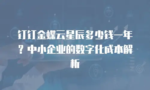 钉钉金蝶云星辰多少钱一年？中小企业的数字化成本解析
