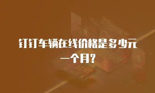 钉钉车辆在线价格是多少元一个月？