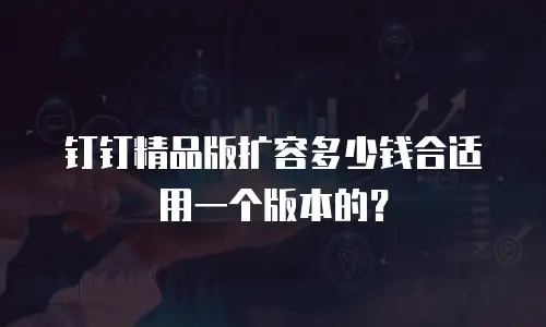 钉钉精品版扩容多少钱合适用一个版本的？