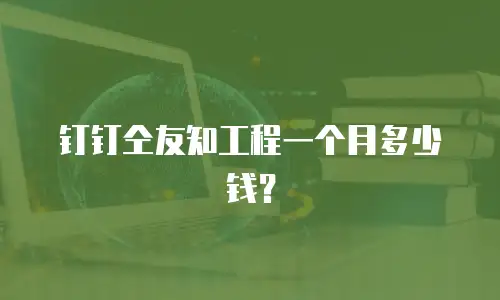 钉钉仝友知工程一个月多少钱？