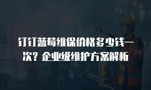 钉钉蓝莓维保价格多少钱一次？企业级维护方案解析