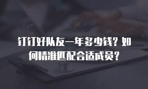 钉钉好队友一年多少钱？如何精准匹配合适成员？