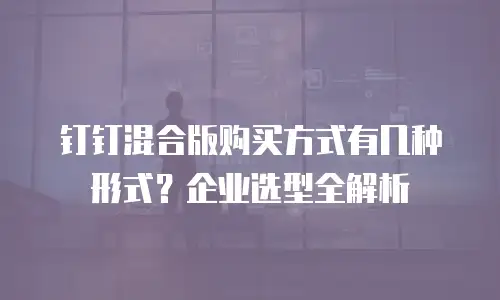 钉钉混合版购买方式有几种形式？企业选型全解析