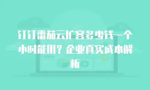 钉钉番茄云扩容多少钱一个小时能用？企业真实成本解析