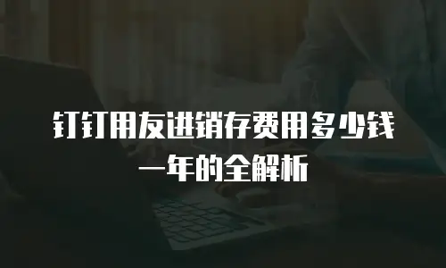 钉钉用友进销存费用多少钱一年的全解析