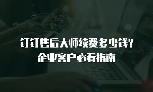 钉钉售后大师续费多少钱？企业客户必看指南